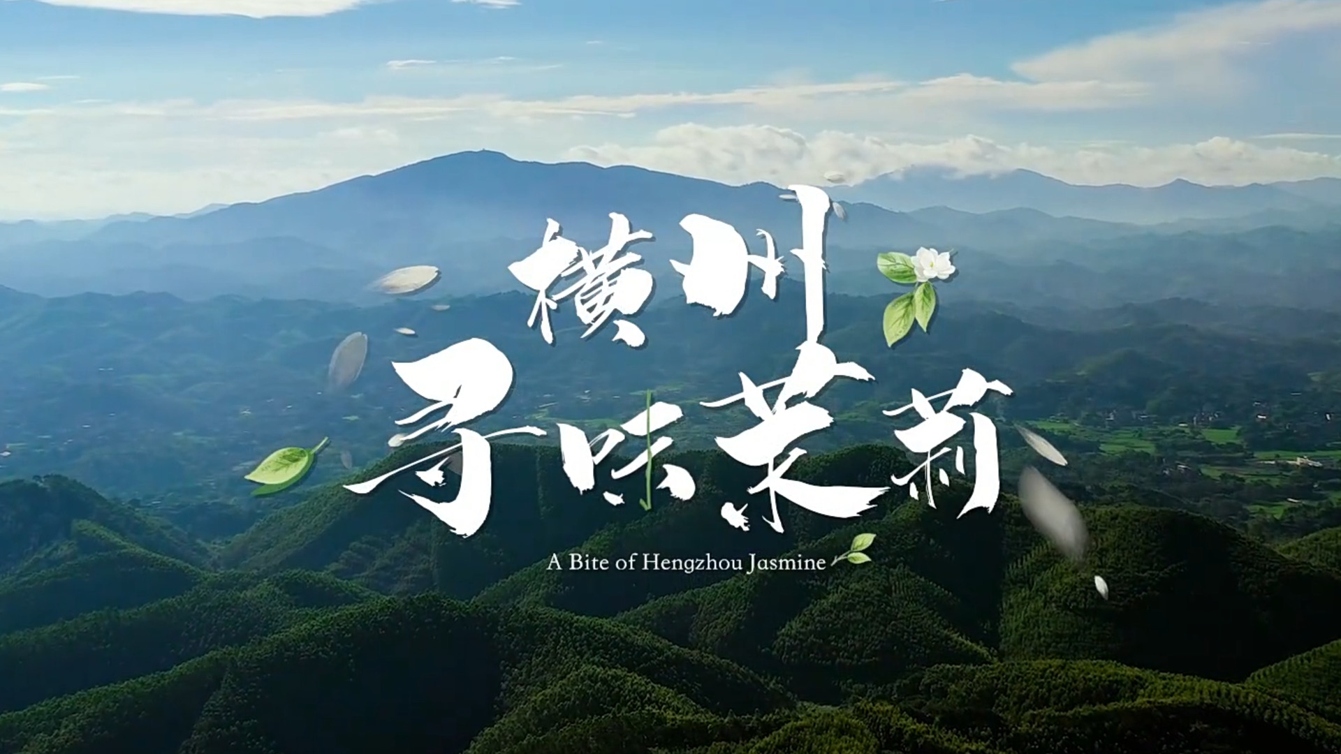 《新华社×钟薛高《横州·寻味茉莉》》视频封面